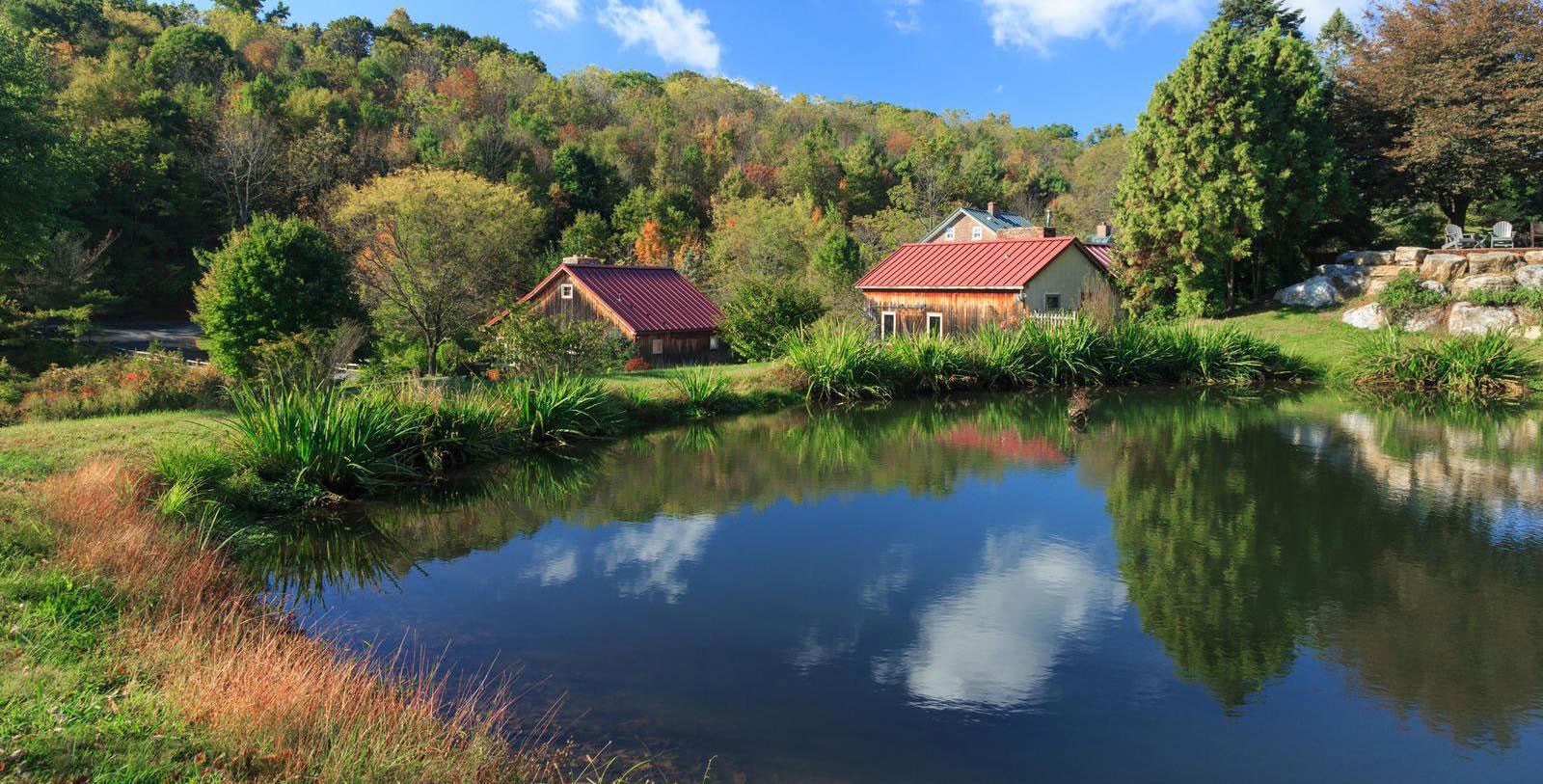 Experience the Hawk Mountain Sanctuary.