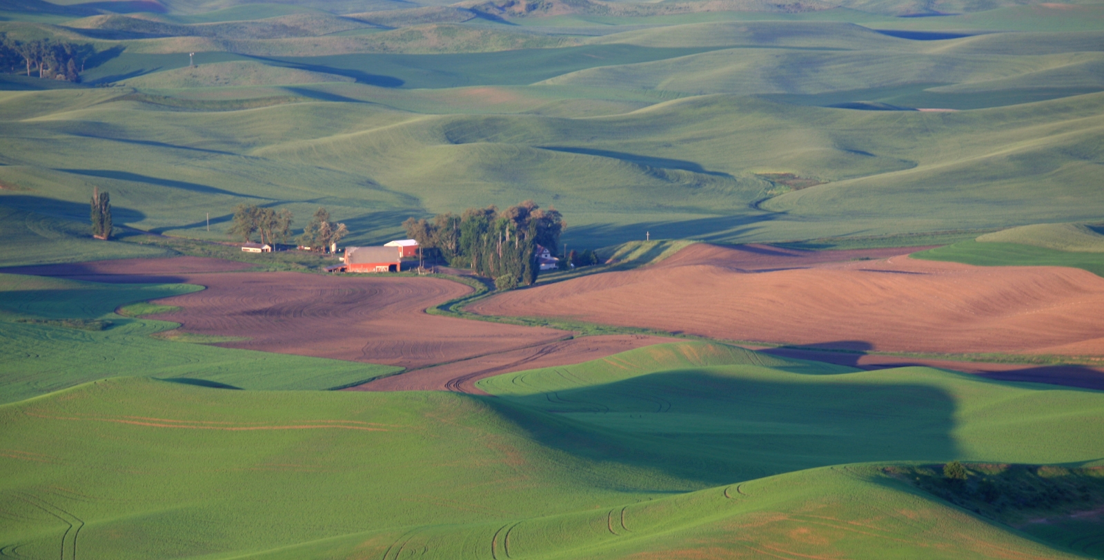 Explore the verdant agricultural hills known as The Palouse.