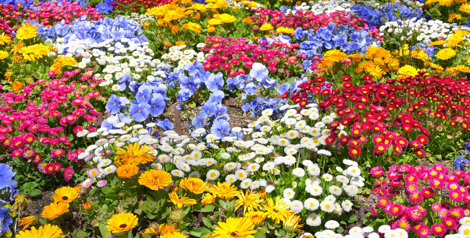 Explore the William Paca House & Garden.