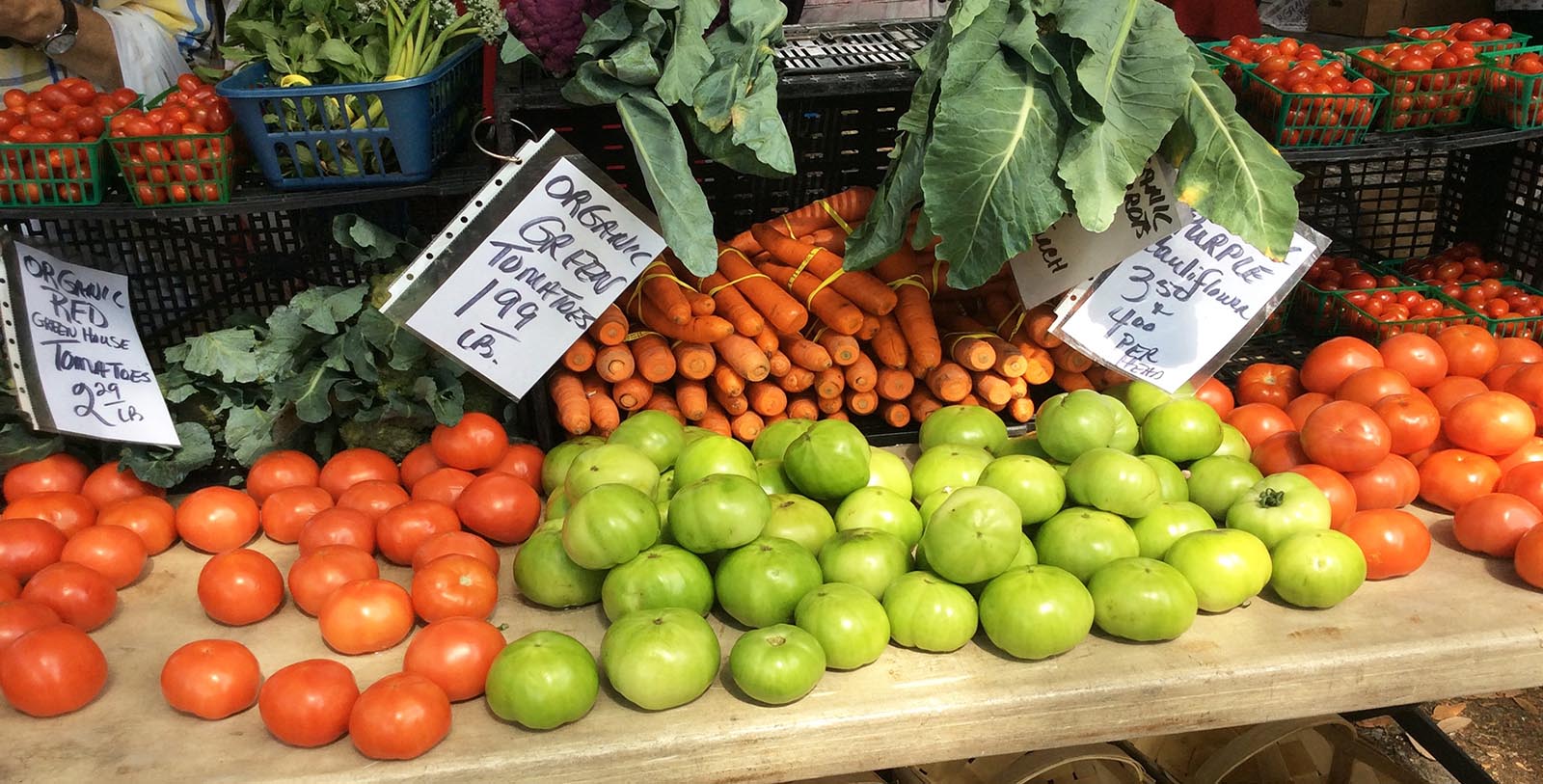 Taste fried green tomatoes, an extraordinary Southern dish combining tartness with a crisp crunch.