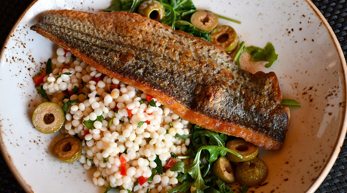 Blooming Grove Brook Trout