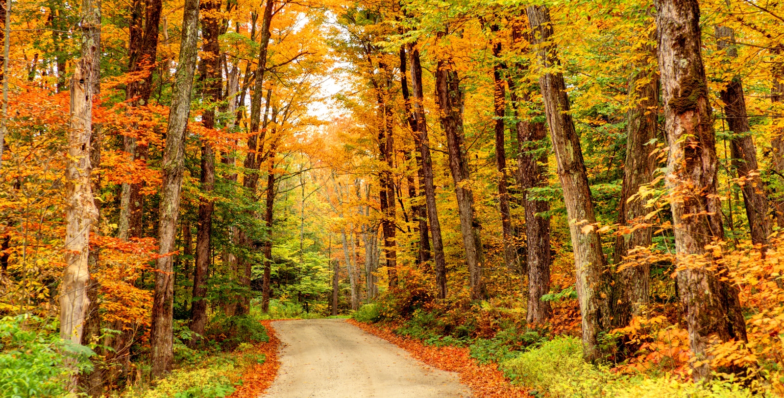 Explore the hiking trails and wildlife areas in scenic New England.