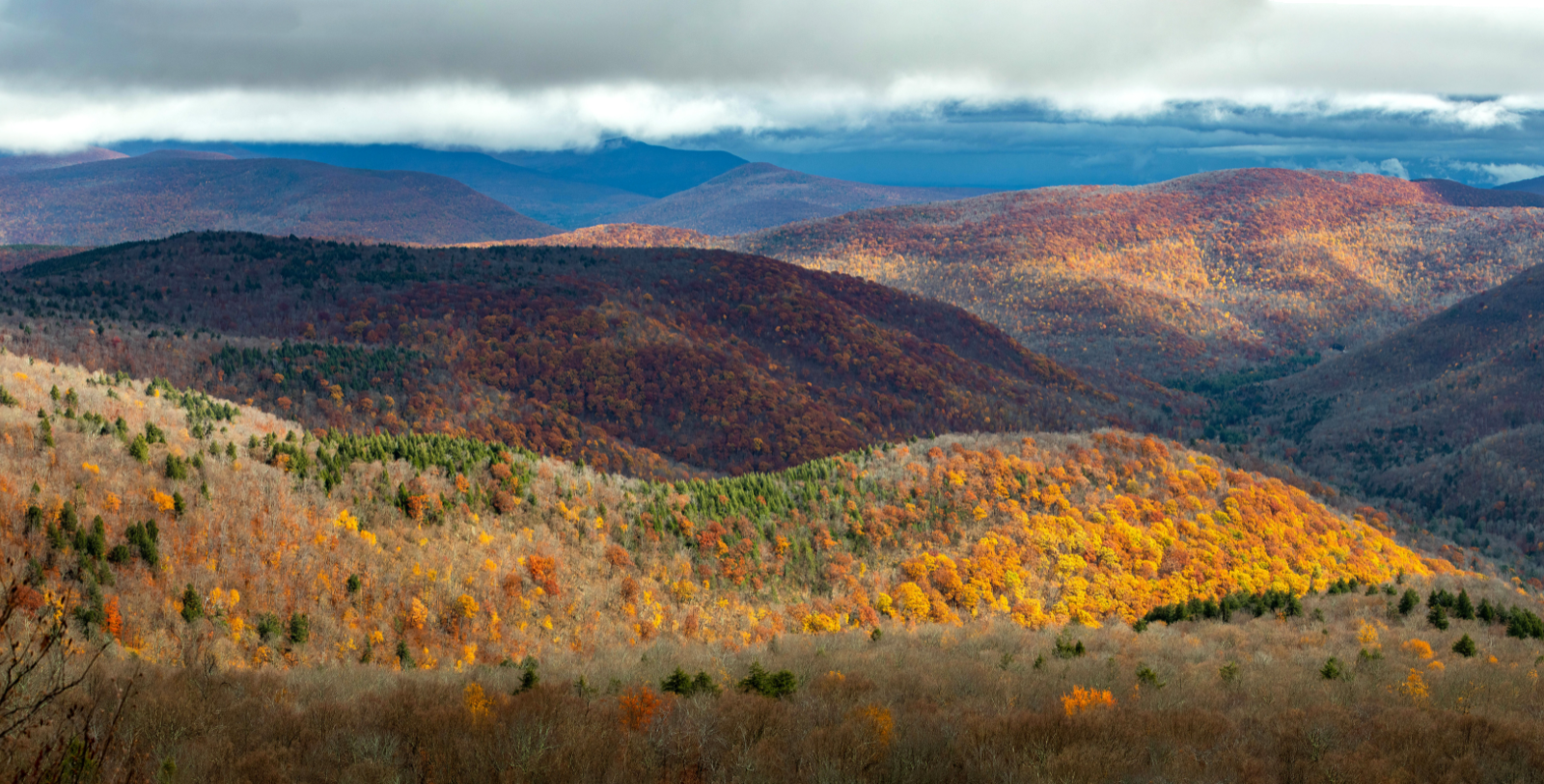 Explore the majestic beauty of New York’s Catskill Mountains, a source of inspiration for creatives and city-weary urbanites alike.