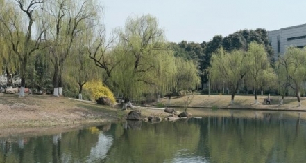 The Emerald Necklace