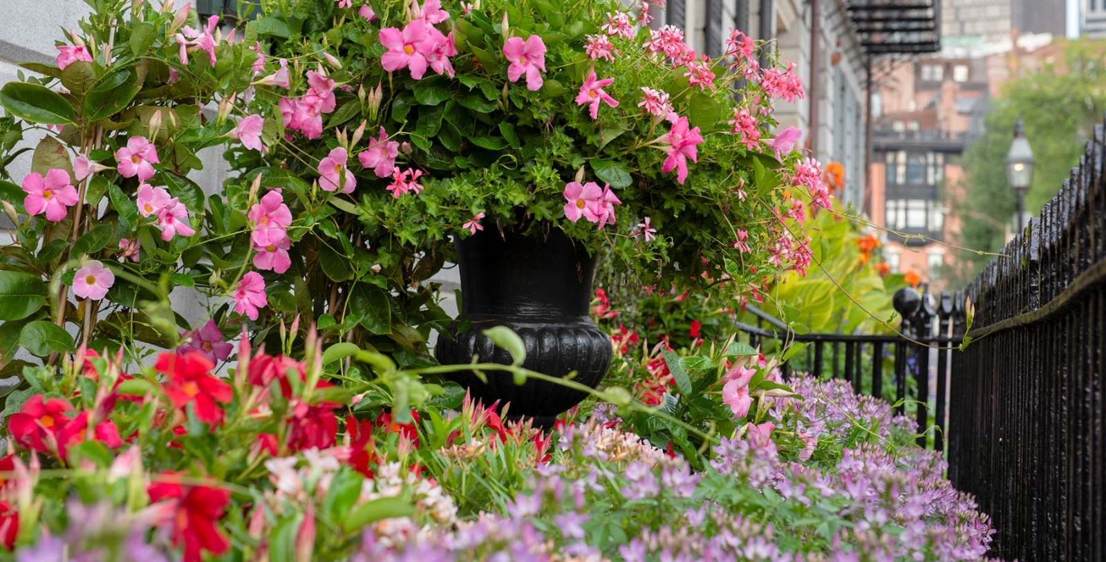 Image of lounge area outside XV Beacon, 1903, Member of Historic Hotels of America, in Boston, Massachusetts, Experience