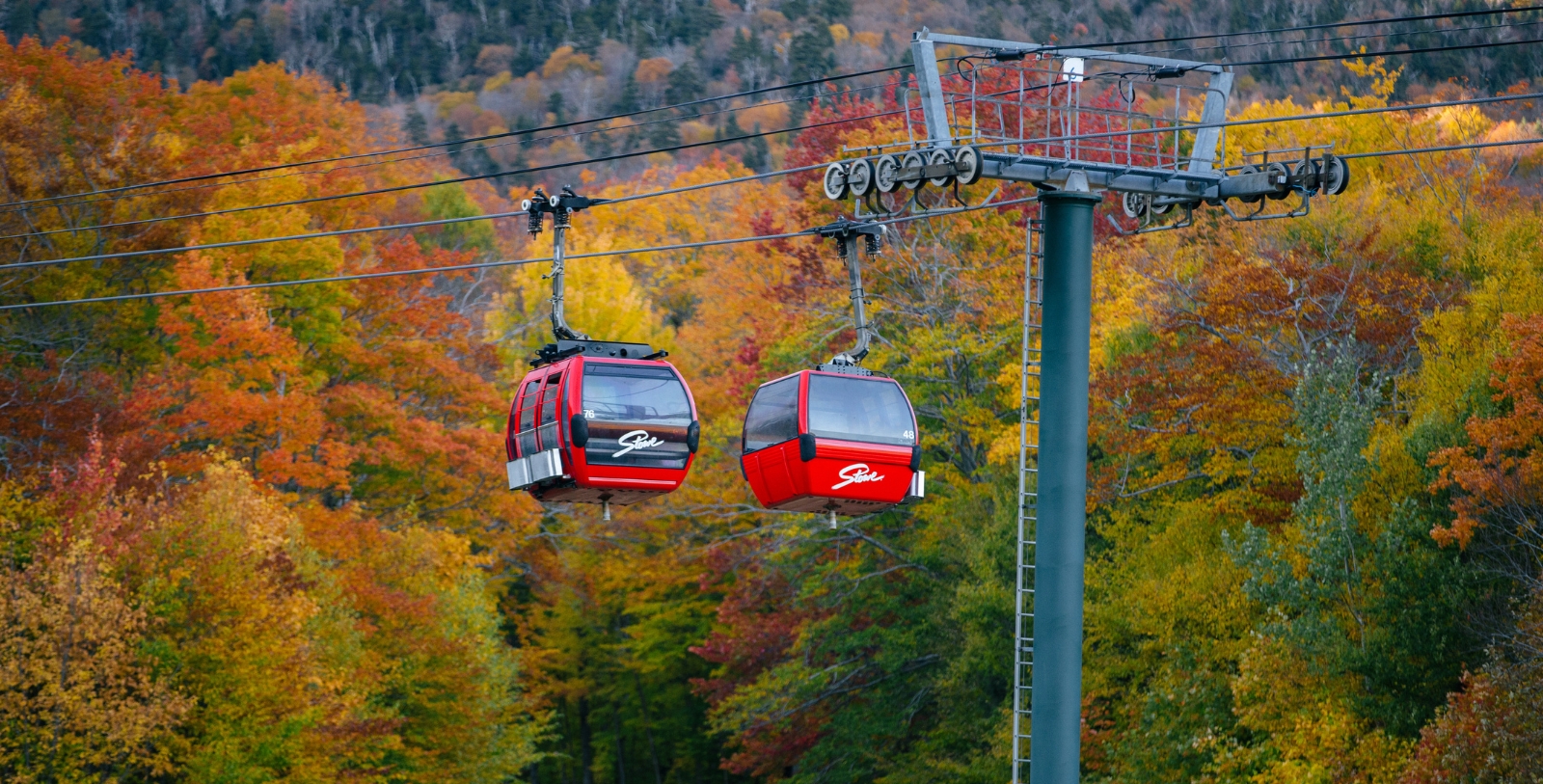 Experience world-class skiing in the winter or explore the mountains with hiking and biking adventures during the summer.