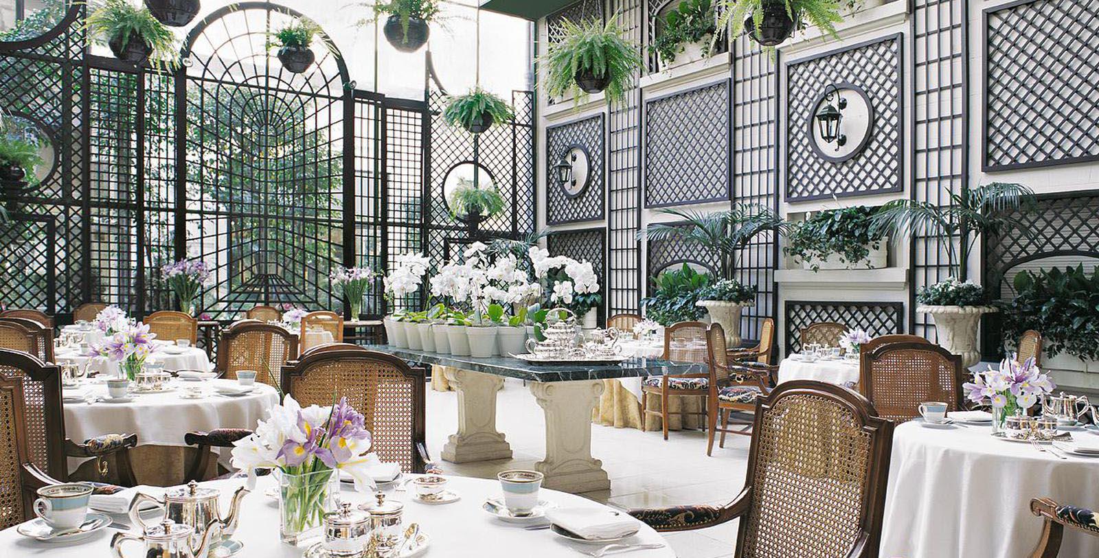 Experience a thrilling theatrical performance at the Teatro Colón.