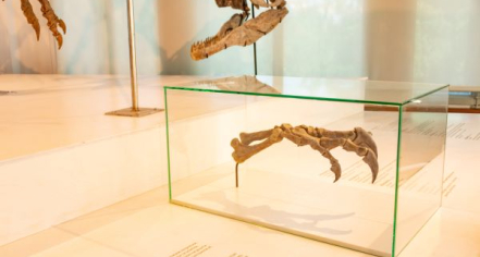 Maryland Science Center