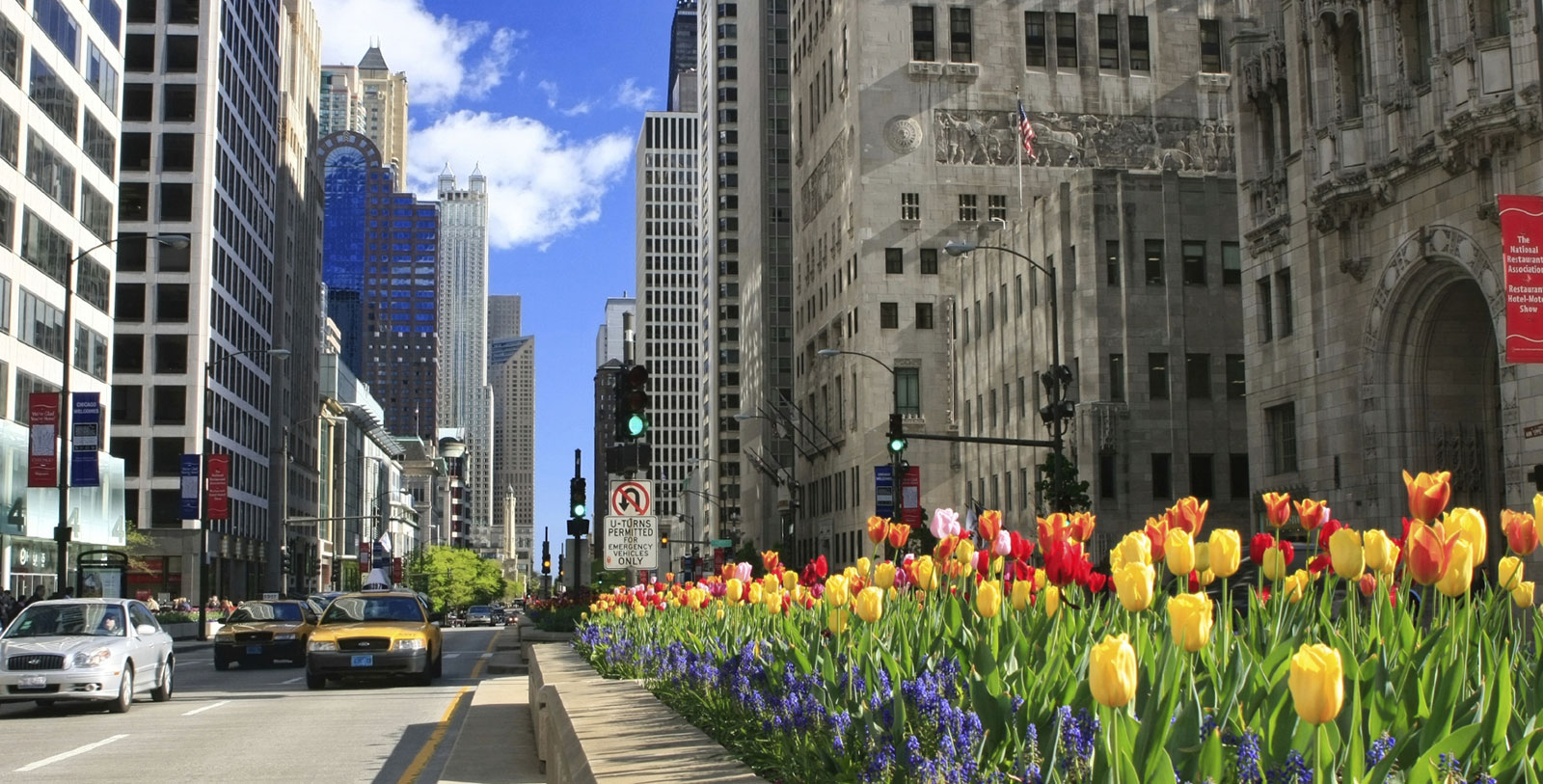 Discover the Art Institute of Chicago, the Chicago Cultural Center, Navy Pier, Lincoln Park Zoo, and Millennium Park only minutes away.