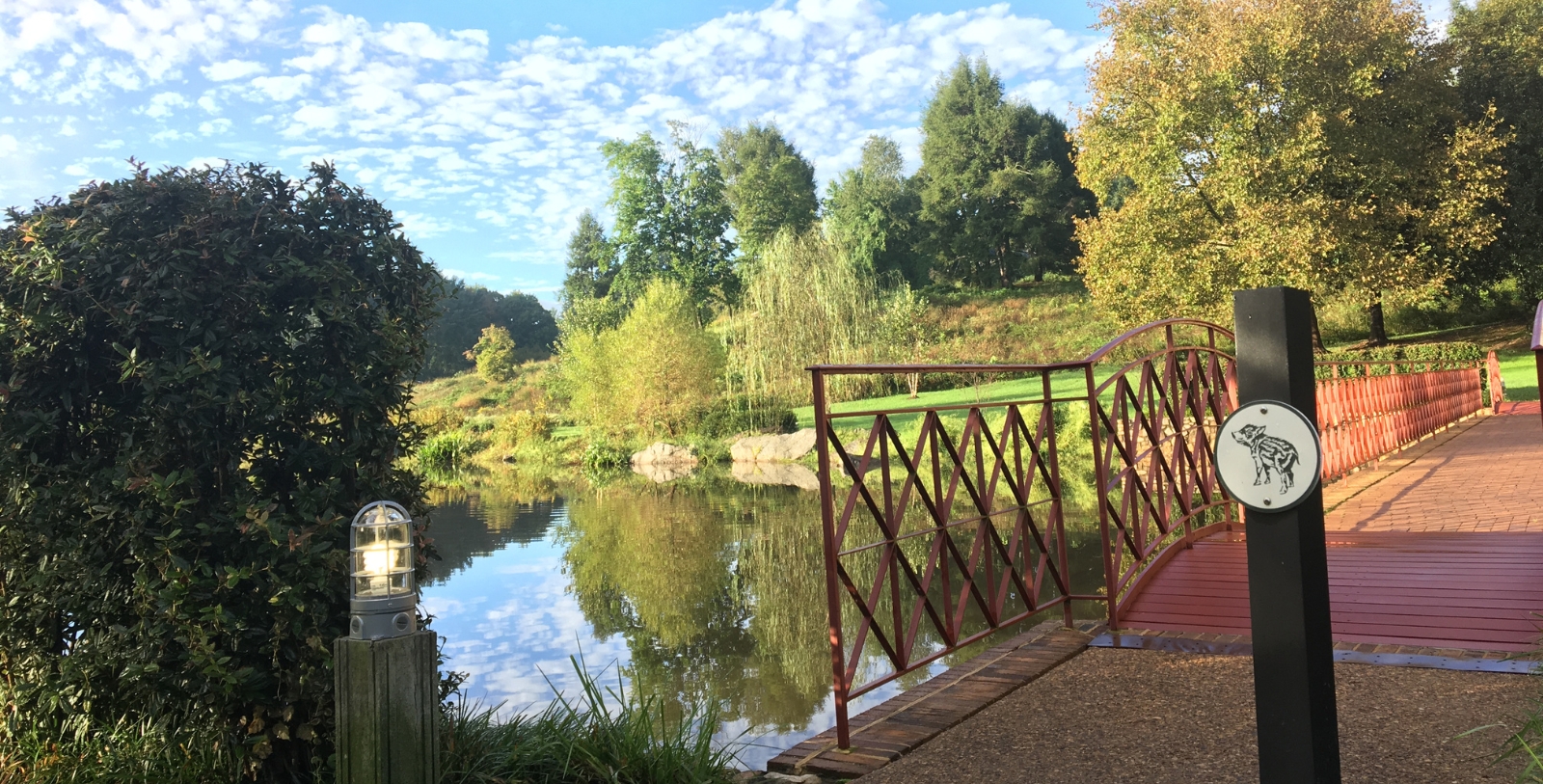 Stroll through charming Charlottesville, located in Virginia's scenic Blue Ridge Mountains.