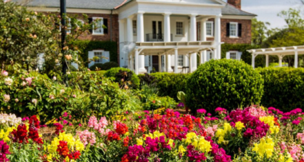 Boone Hall Plantation & Gardens