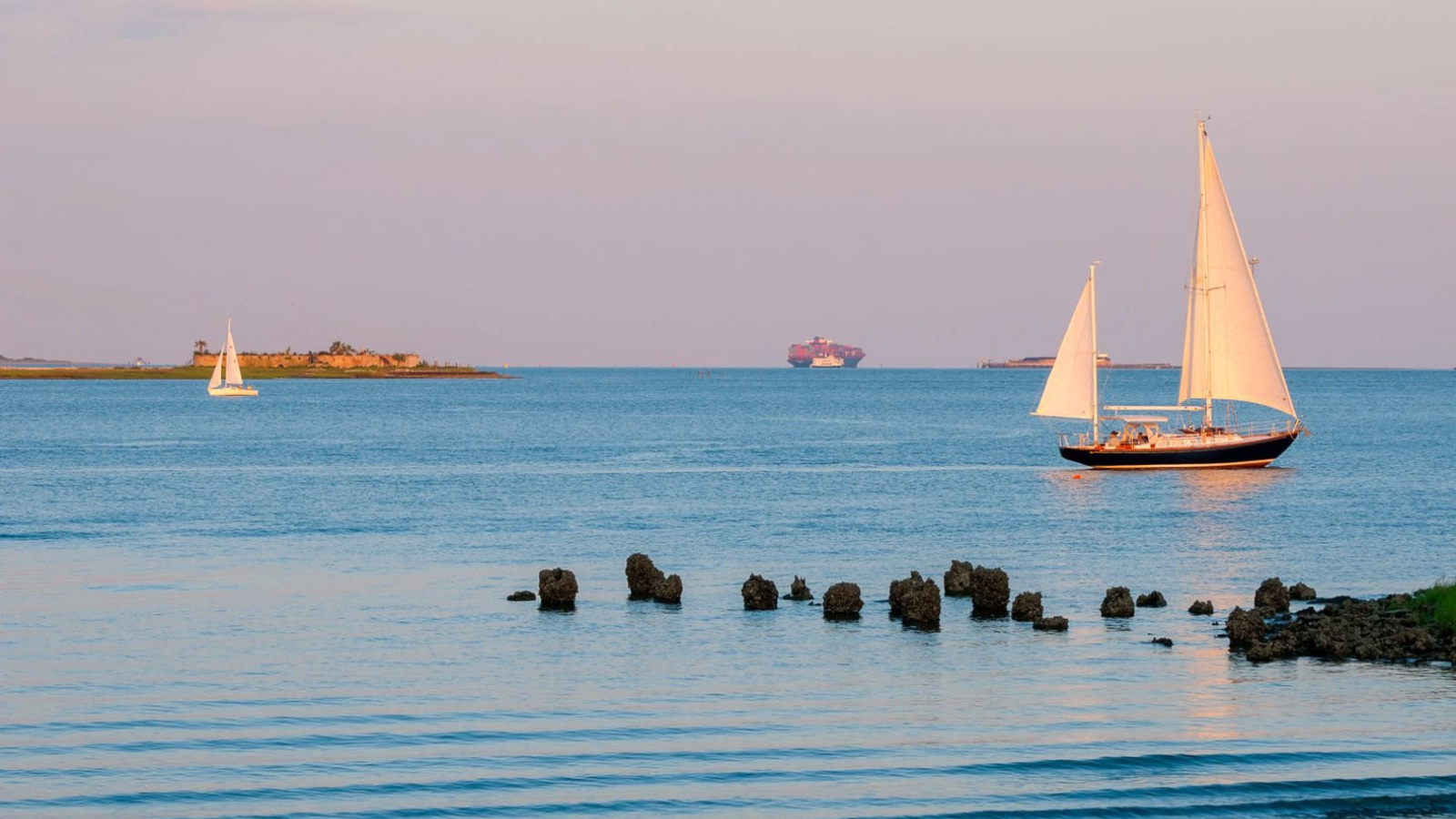 Explore the Charleston Museum, the oldest museum in the United States.