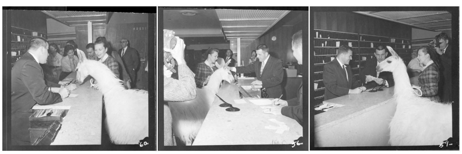 Linda arriving in Dallas and at The Statler reception