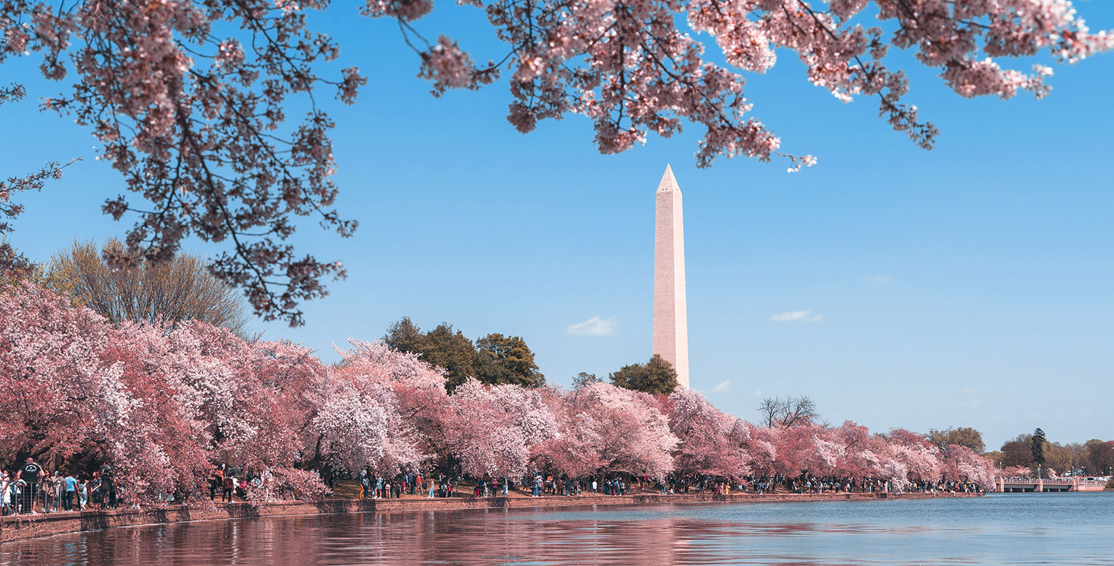 Discover Washington's iconic Georgetown neighborhood.