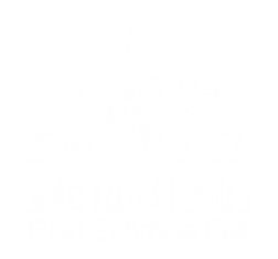 
    Riad El Amine Fès
 in Fes