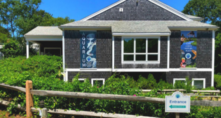 Cape Cod Museum Of Natural History