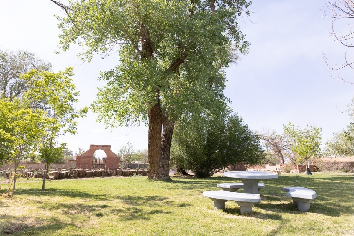 Cottonwood Grove