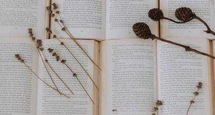 Prairie Lights Books & Cafe