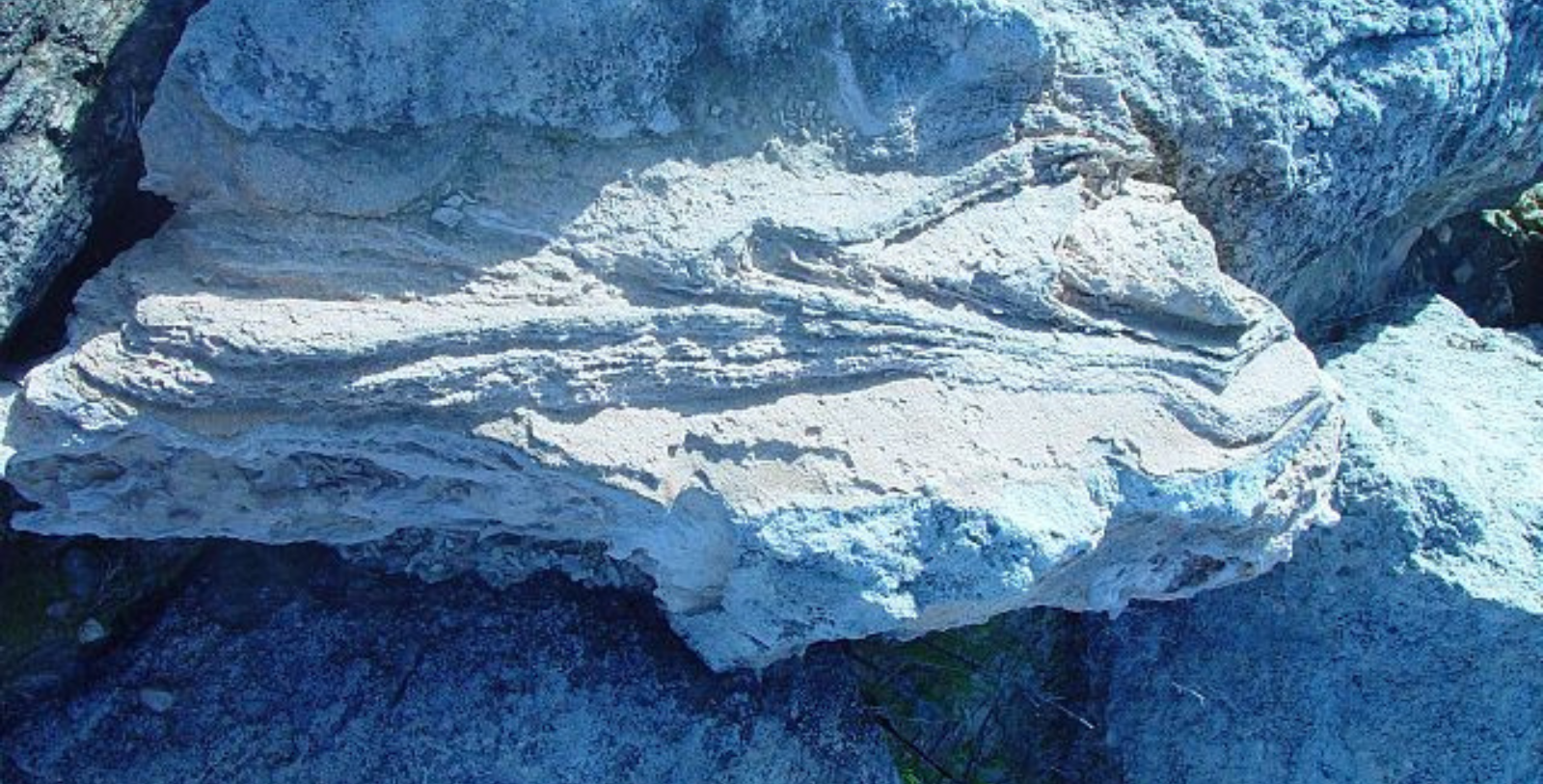 Experience an archaeological wonder, Devonian Fossil Gorge. This dig site contains fossils and limestone bedrock that dates back almost 200 million years before the dinosaurs.