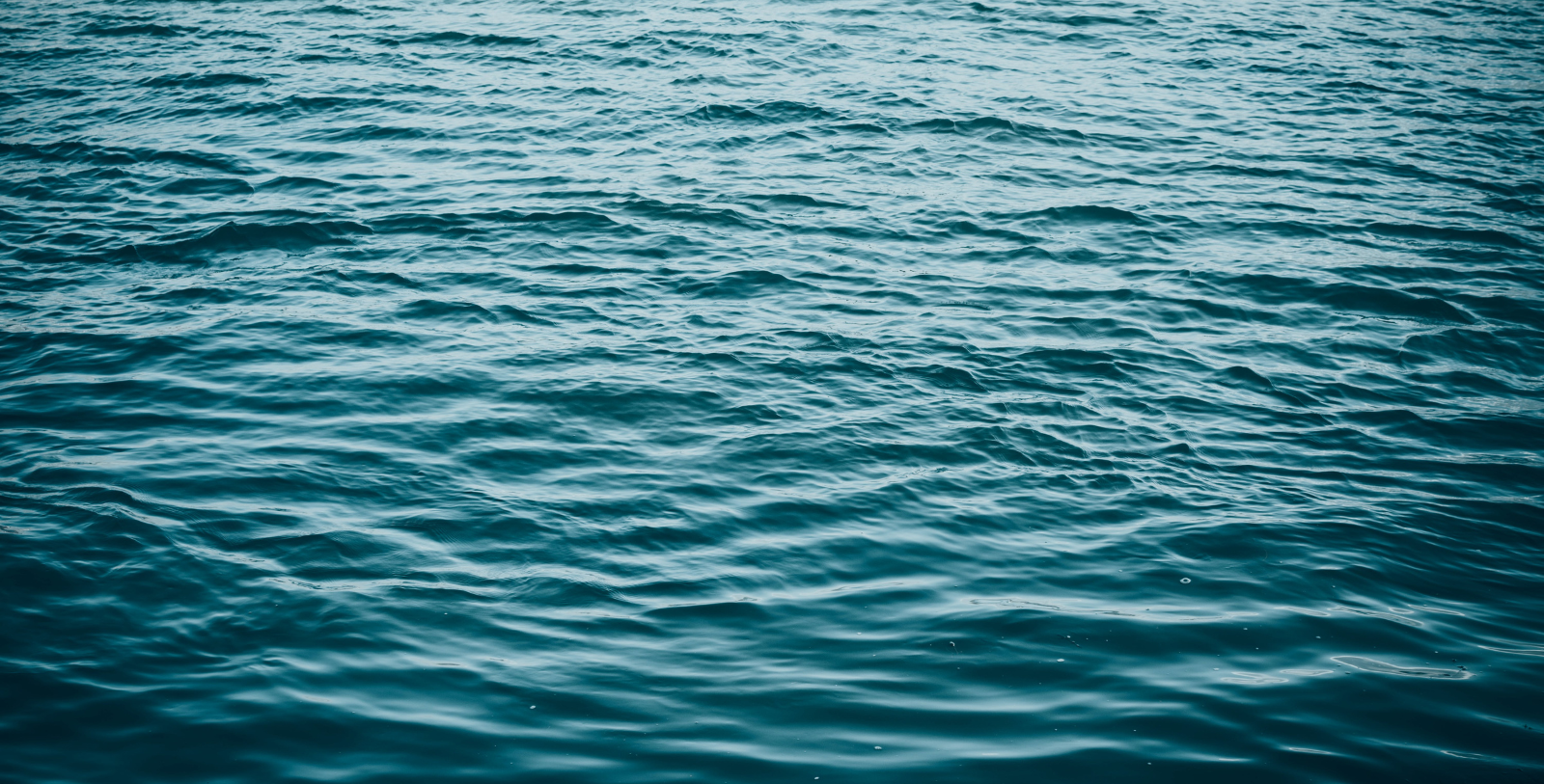 Experience a riverboat cruise on the Susquehanna River aboard the Hiawatha paddlewheel riverboat.