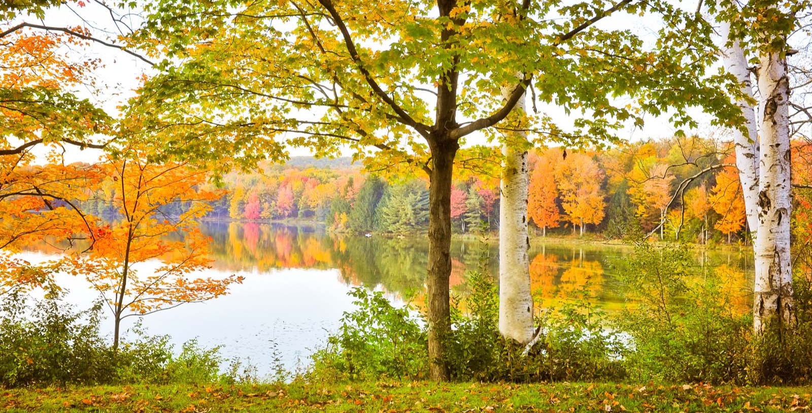 Explore Pine Creek Gorge.