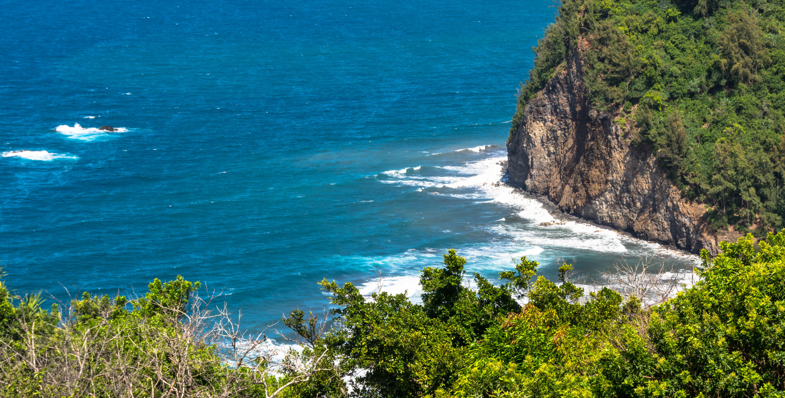 Take a day to discover Hawaii Volcanoes National Park and the Chain of Craters Road, Mauna Kea, and the Hakalau Forest National Wildlife Refuge.