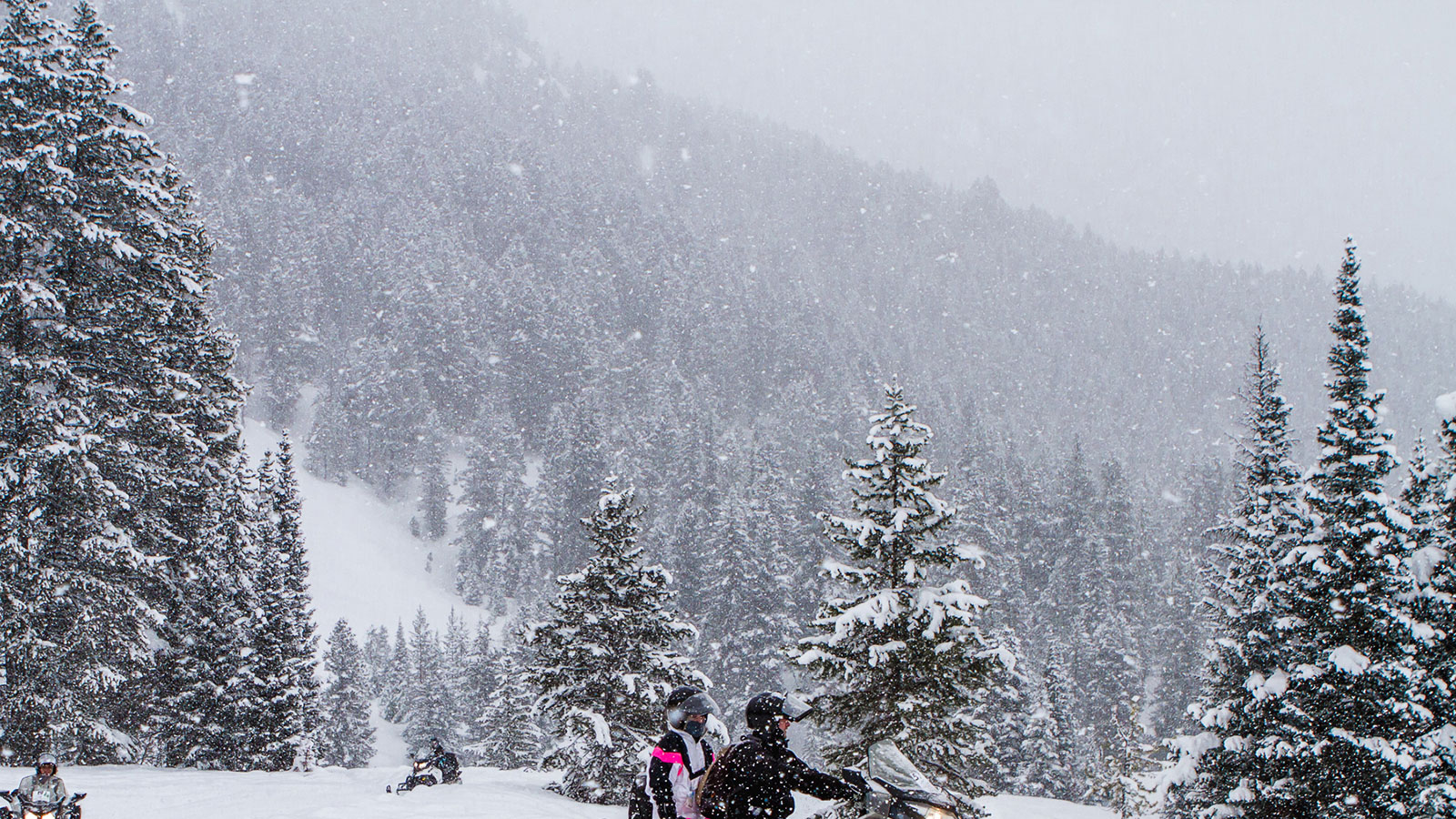 Image of meeting and event space set up for banquet The Wort Hotel, 1941, Member of Historic Hotels of America, in Jackson, Wyoming,Experience