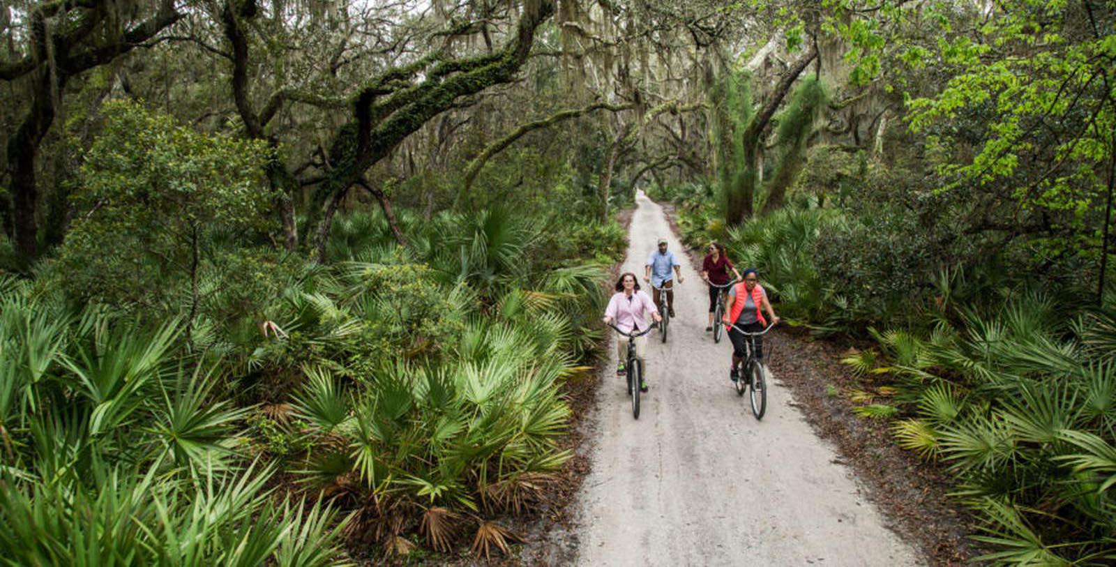 Image of bike trail near Greyfield Inn, 1900, Member of Historic Hotels of America, in Cumberland Island, Georgia, Hot Deals
