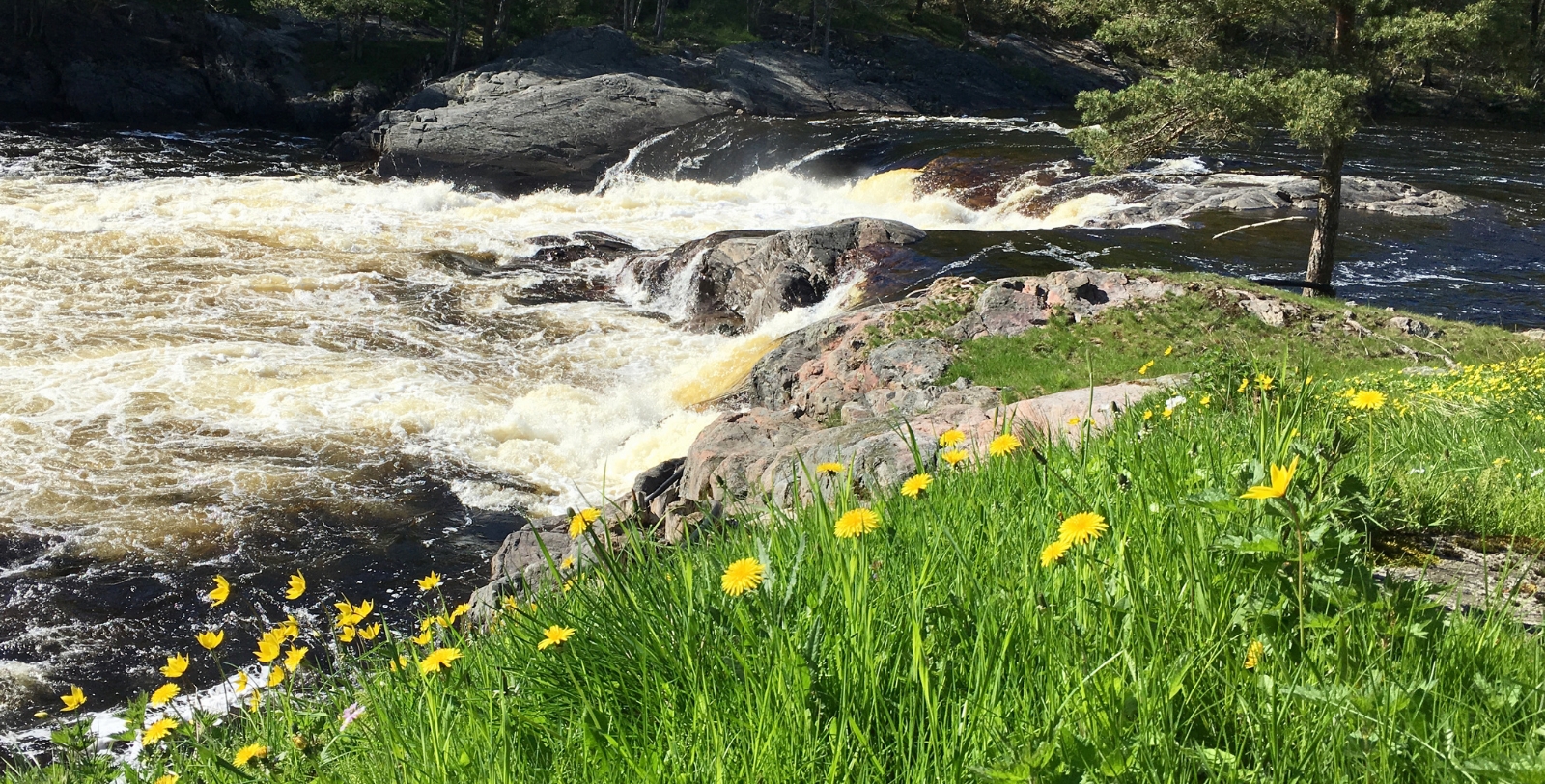 Experience activities on the hotel's expansive grounds, including serene strolls, croquet, and other games.