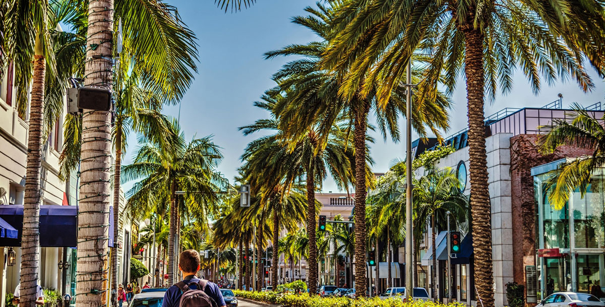 Explore the Hollywood Walk of Fame.