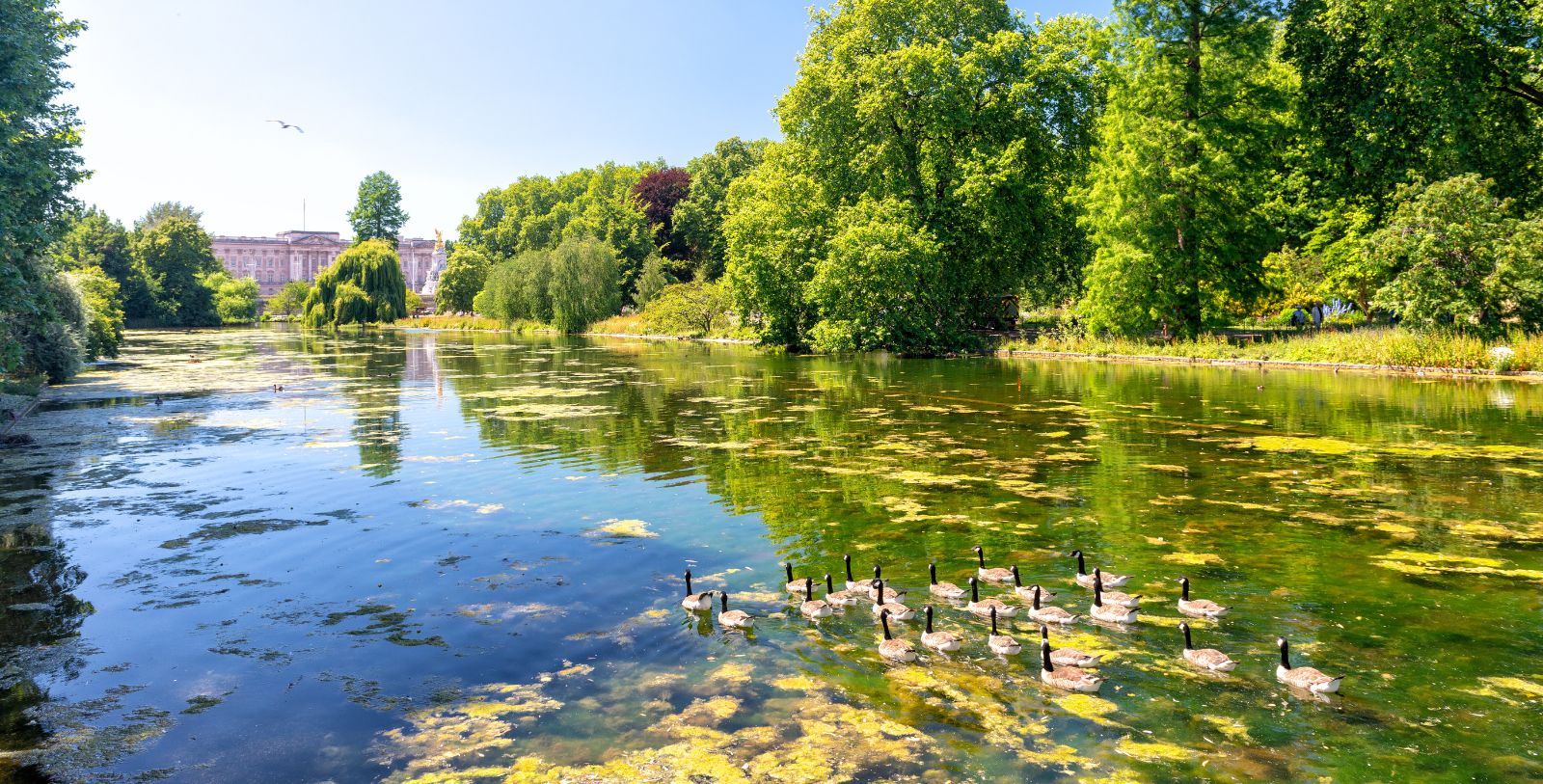 Explore Hyde Park, a landmark in London and nearby Hyde London City.