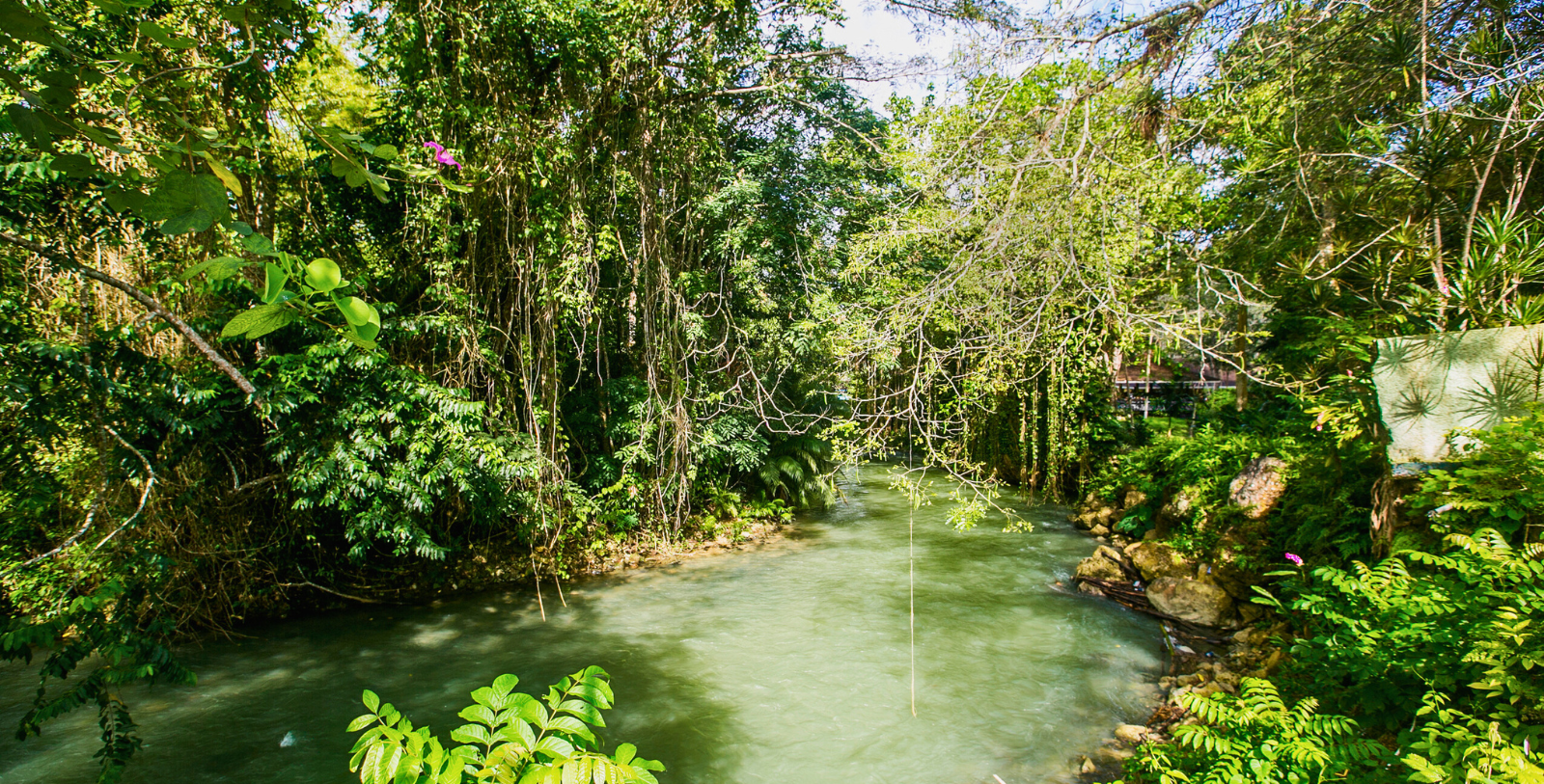 Image of Martha Brae River near Half Moon, 1954, a Member of Historic Hotels Worldwide since 2023 in Montego Bay, Jamaica