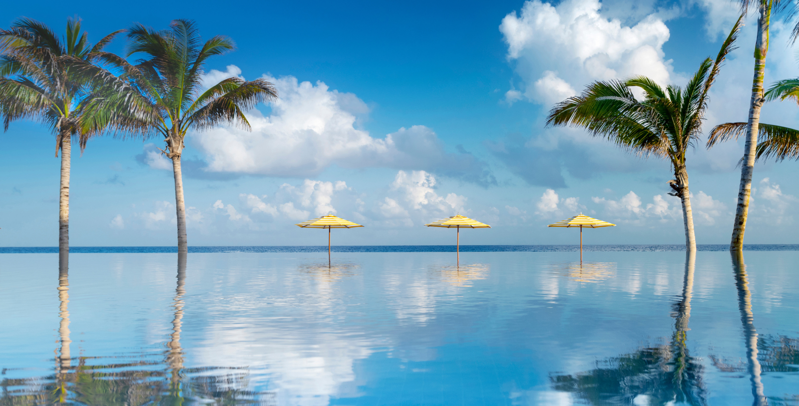 Experience Jamaica’s North Shore from the water when snorkeling, kayaking, parasailing, windsurfing, or horseback riding—just to name a few.