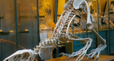 Orlando Science Center