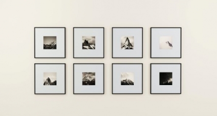 Orlando Museum Of Art