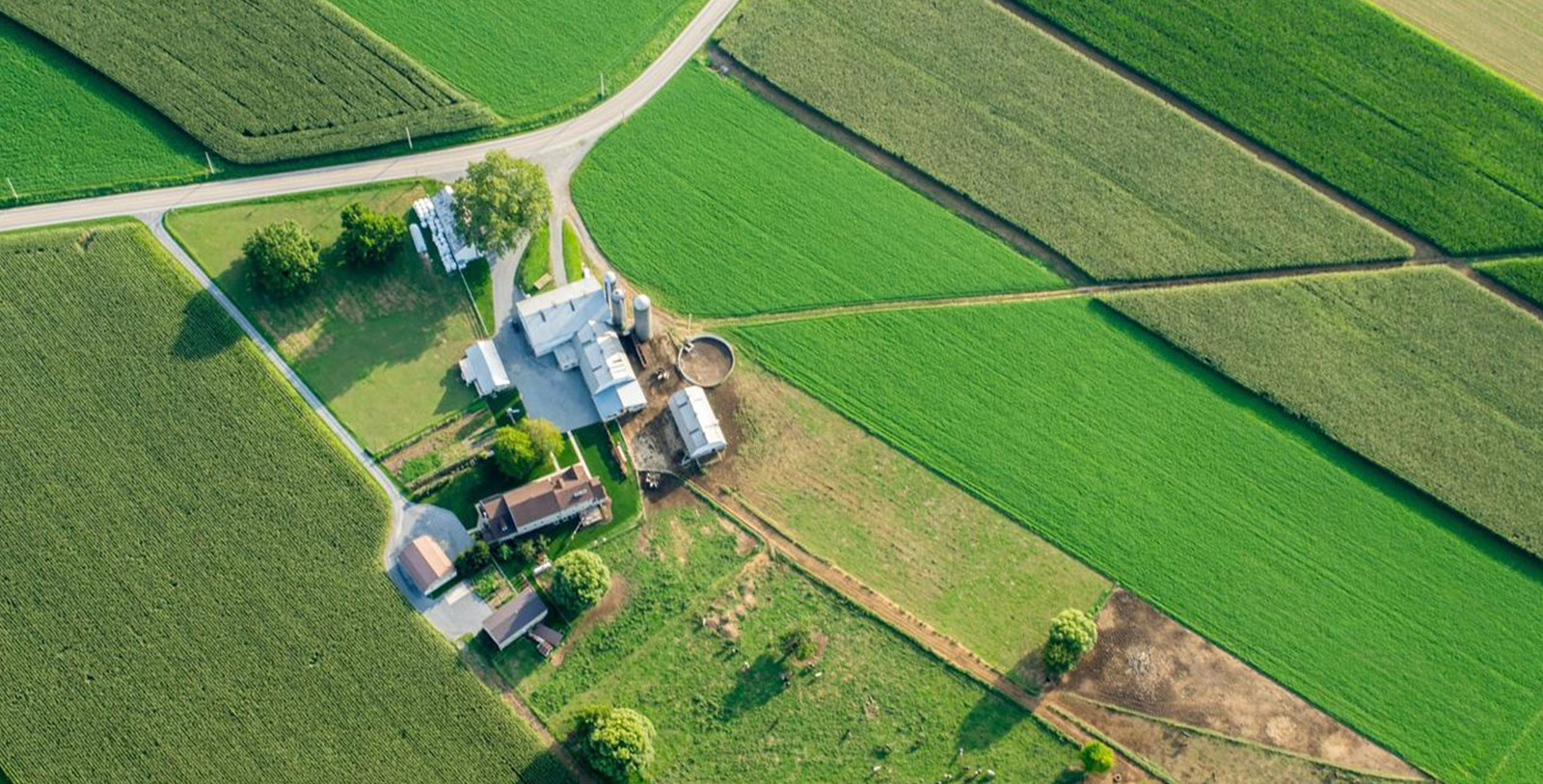 Take a day to discover the local heritage and culture of Amish country.