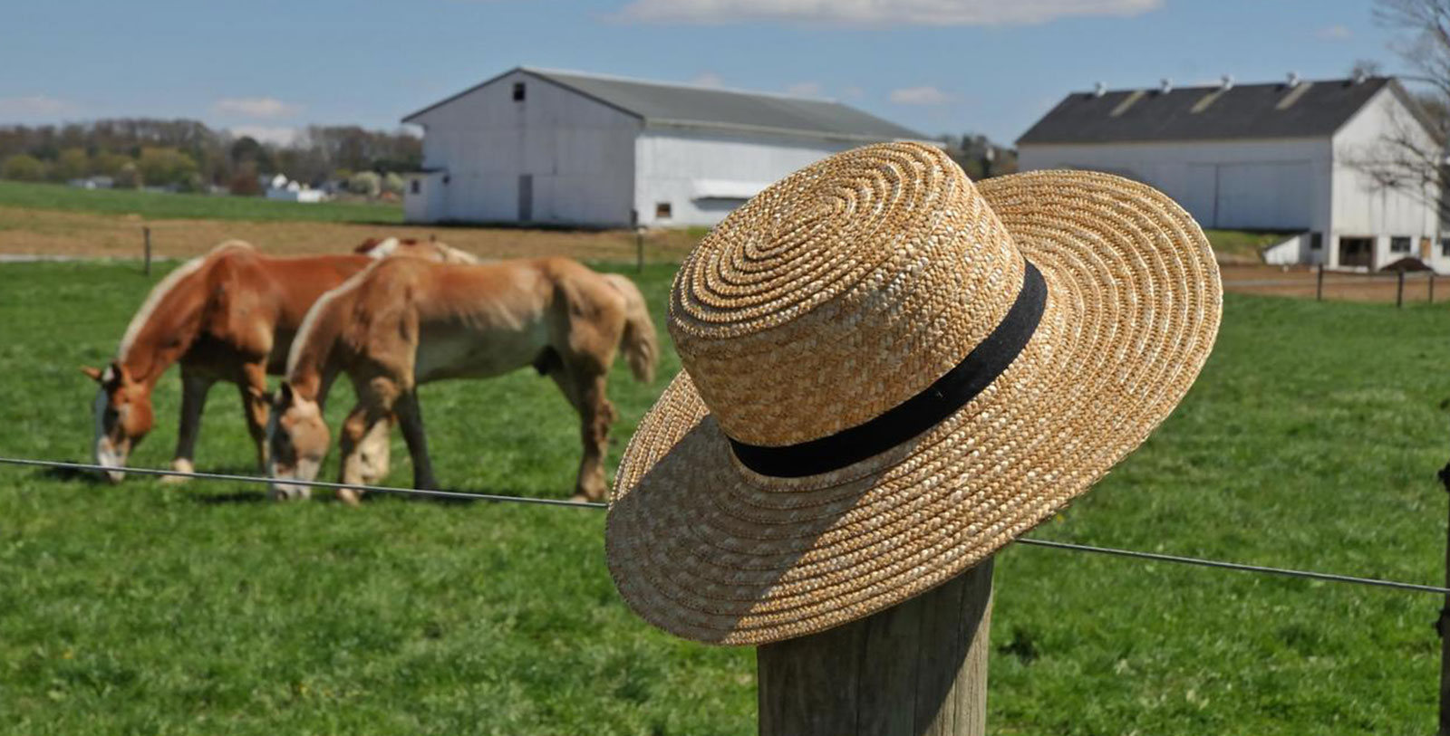 Experience the Strasburg Railroad.