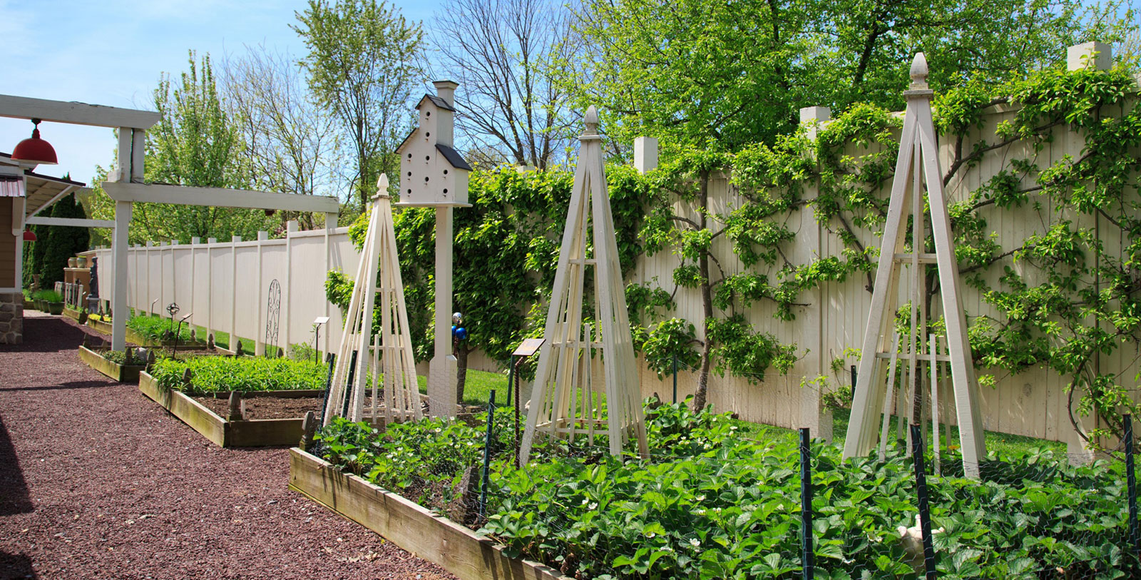 Explore the Lapp Valley Farms.