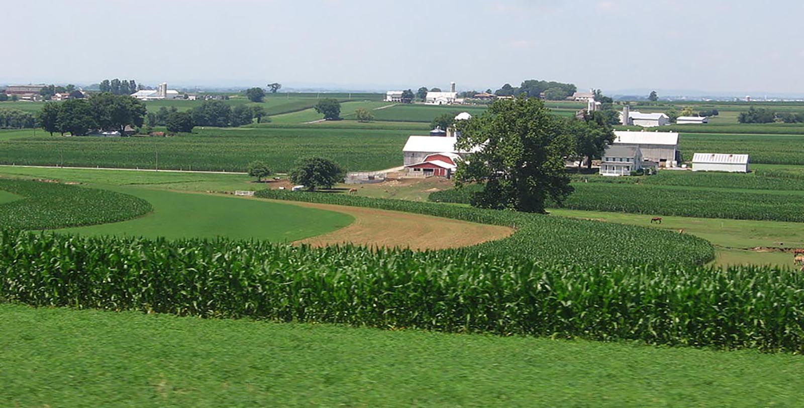 Image of Dining Area The Inn at Leola Village, Est. 1867, 1867, Member of Historic Hotels of America, in Leola, Pennsylvania, Experience