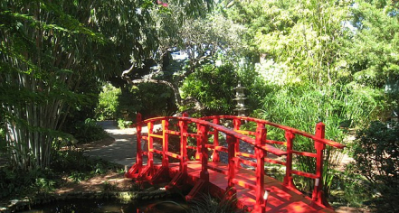Miami Beach Botanical Garden