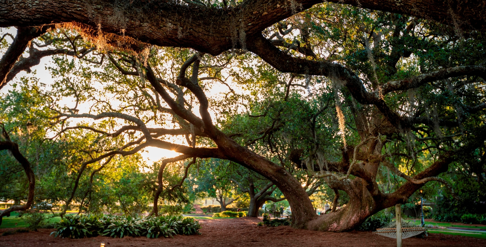 Experience the adventures waiting on the grounds of the Grand Hotel Golf Resort & Spa.