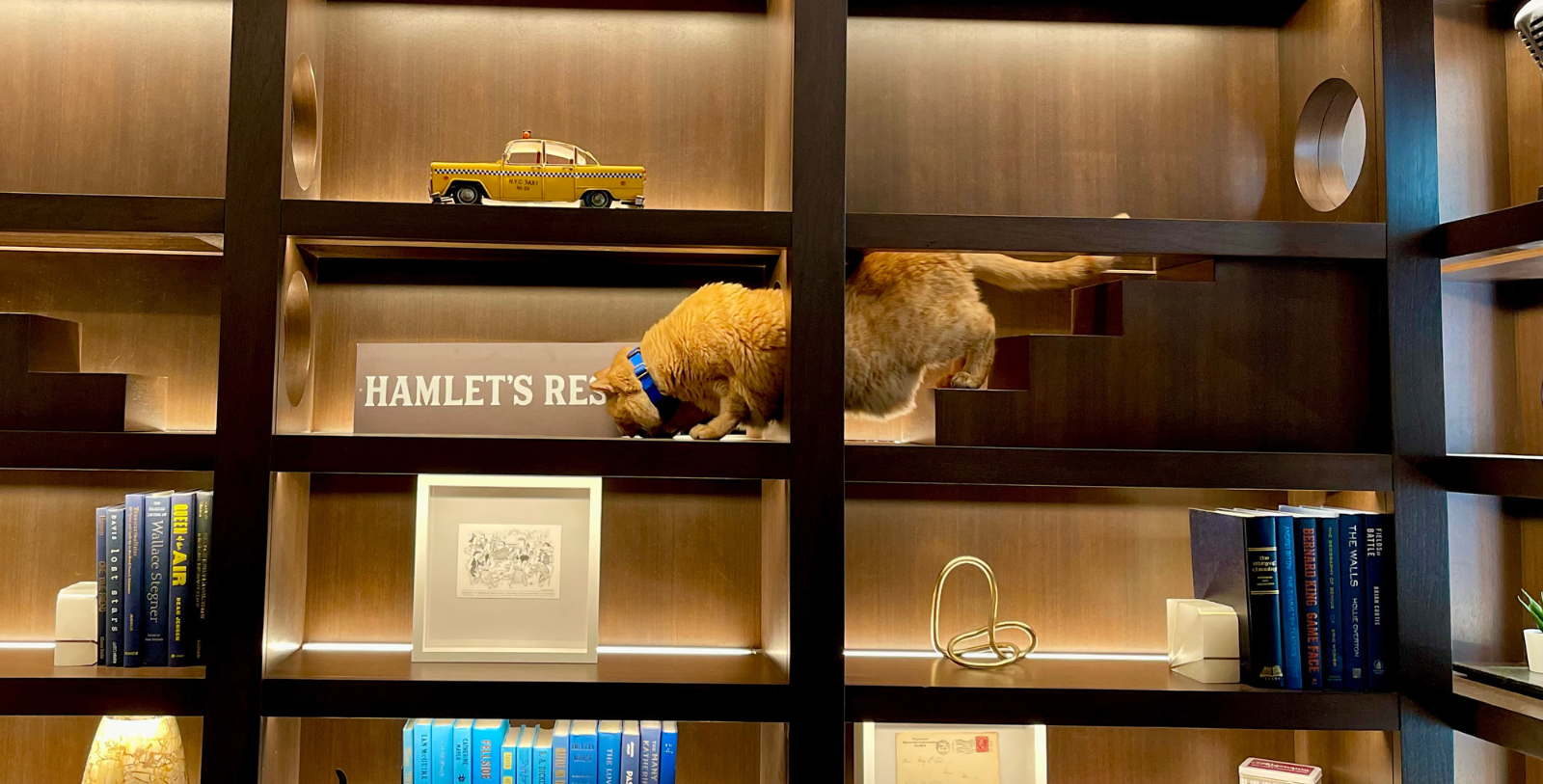 Image of Hamlet the cat at of The Algonquin Hotel Times Square, Autograph Collection, 1902, a Member of Historic Hotels of America since 2023 in New York, New York