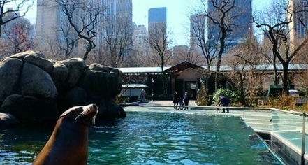 Central Park Zoo