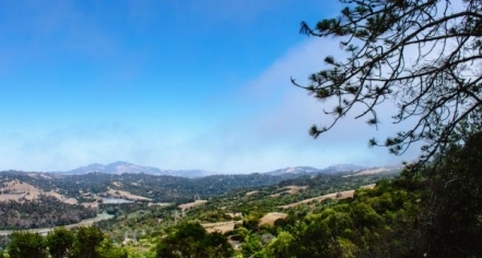 Tilden Regional Park