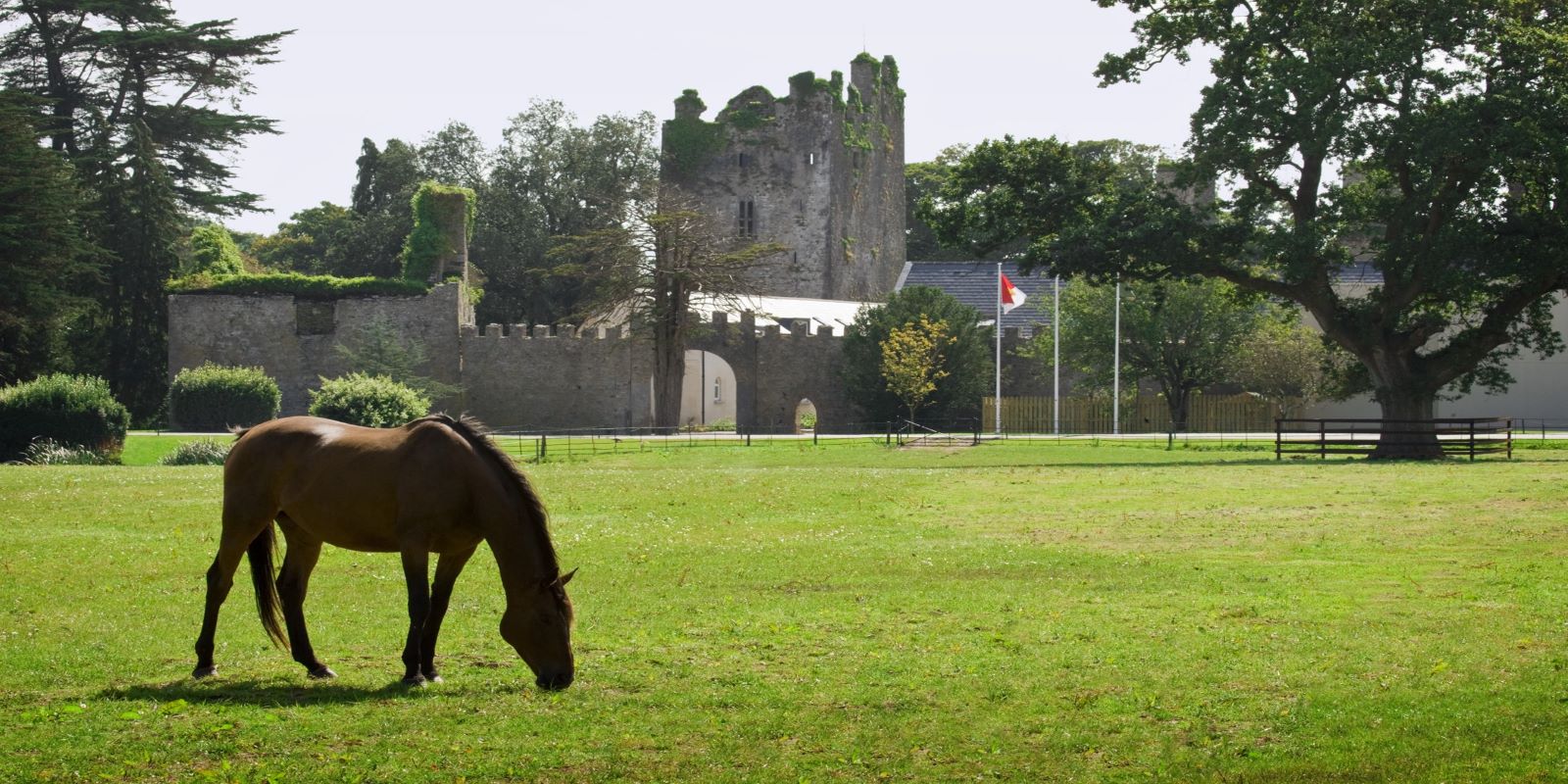 Image of Grounds of Castlemartyr Resort, 1210, A Member of Historic Hotels Worldwide, Castlemartyr, Cork, Ireland