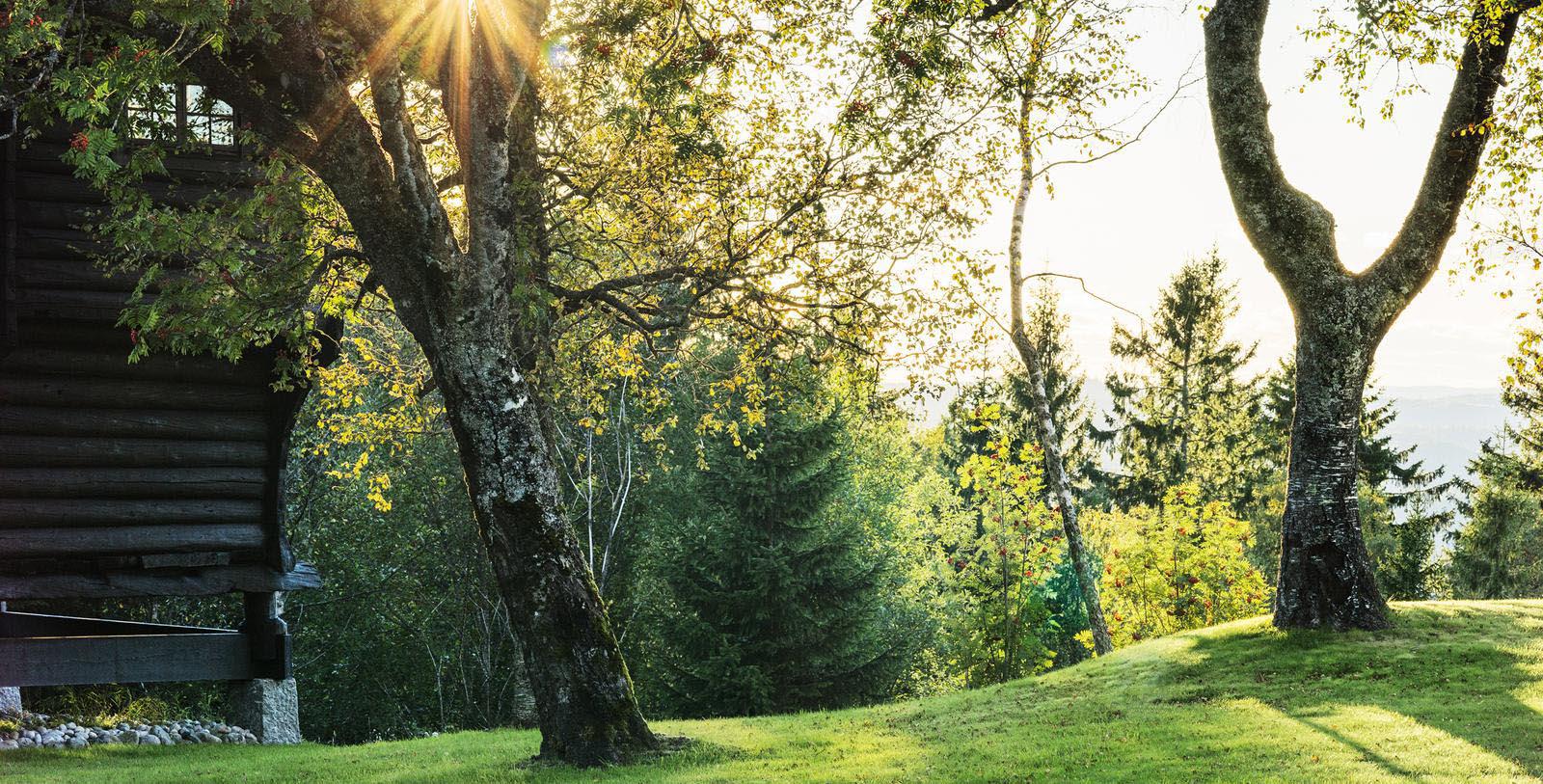 Explore the Akerhus Fortress (Akerhus Festning) along the shoreline of Oslo harbor.