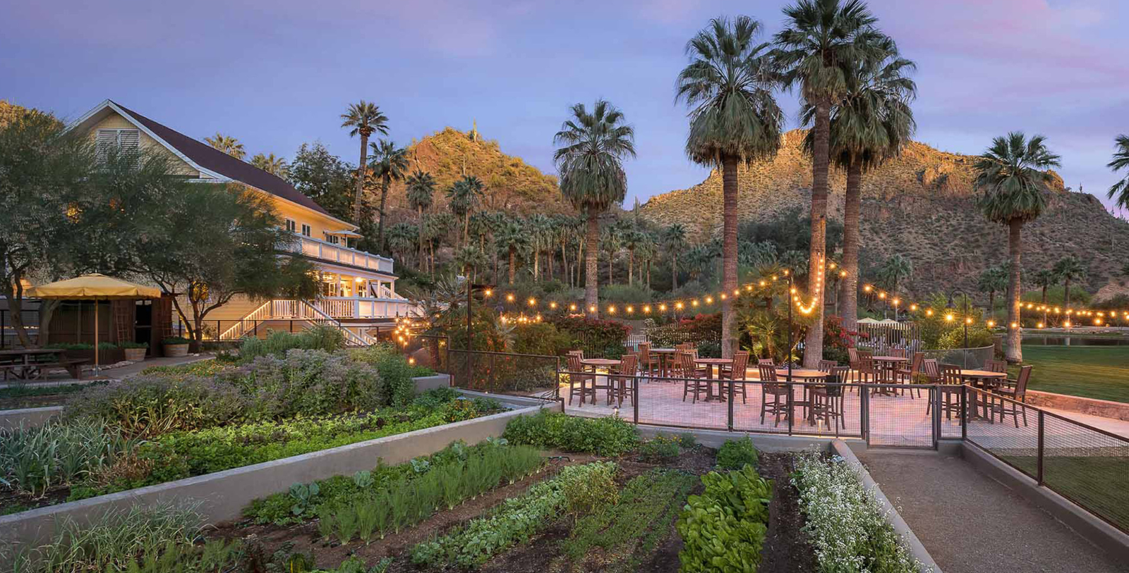 Taste the seasonal flavors of Arizona with a farm-fresh, sustainably cultivated culinary experience.