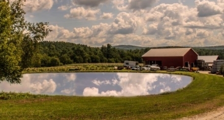 Pond Hill Farm