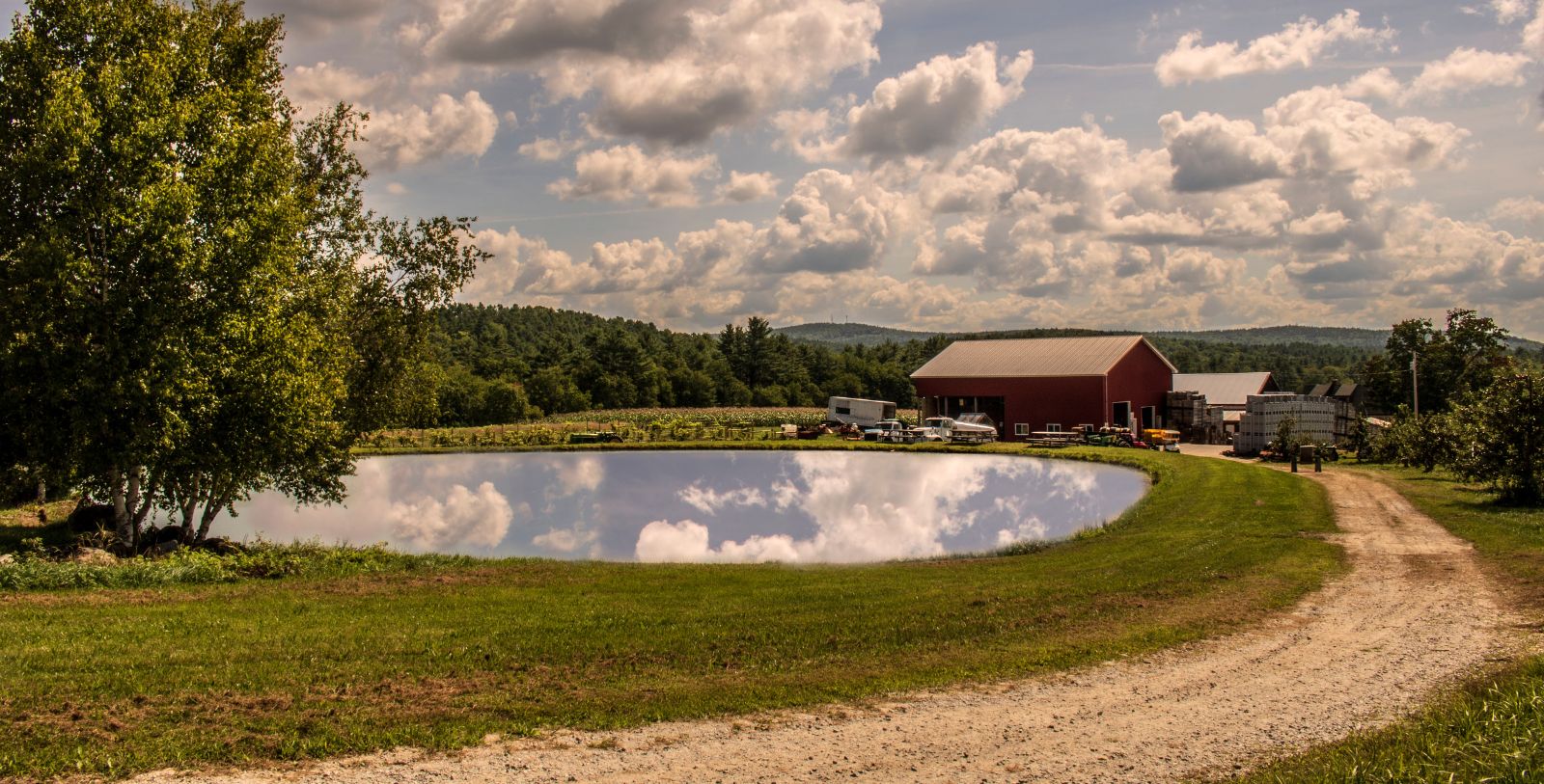Explore Pond Hill Farm, a family-friendly farm that offers hiking trails, craft beer tastings, and seasonal activities.