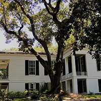 Oakleigh House Museum